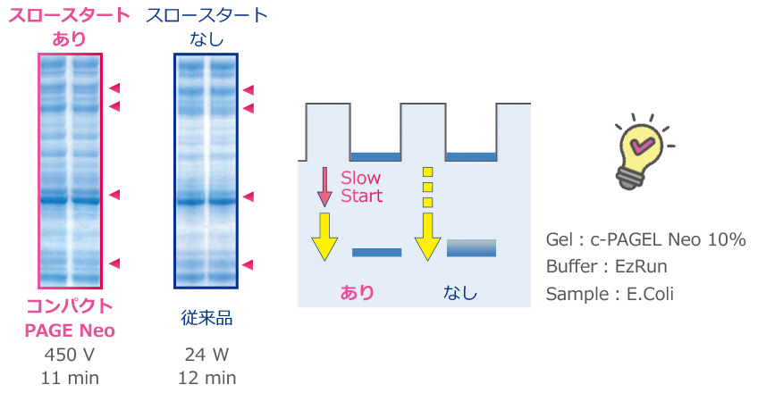 スロースタート説明 のコピー.jpg