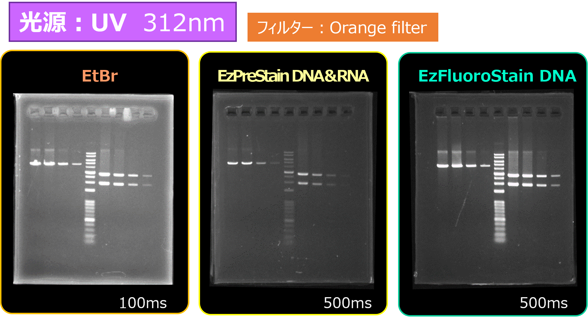 Printgraph Classic DNA UV Pre vs FL.png