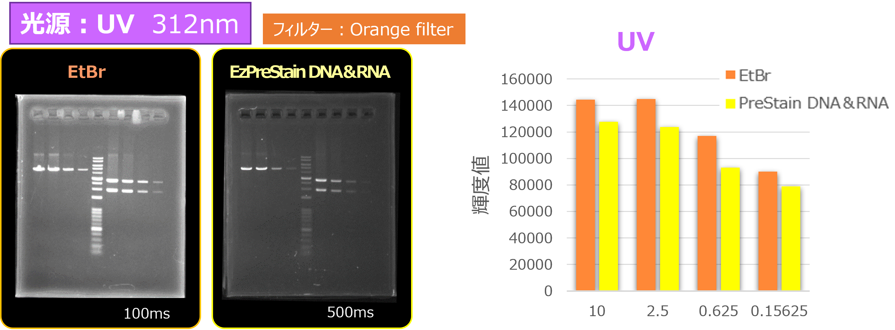 Printgraph Classic DNA UV EtBr vs Pre.png