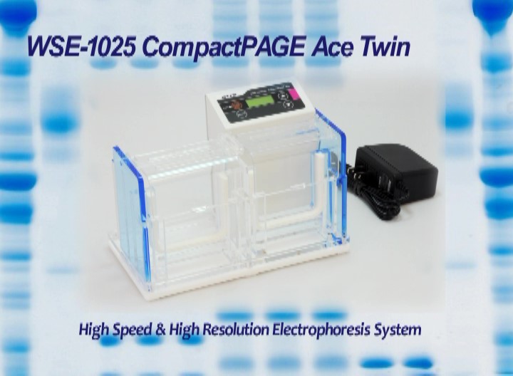 WSE-1010 CompactPAGE Ace Twin_movie_サムネイル.jpg