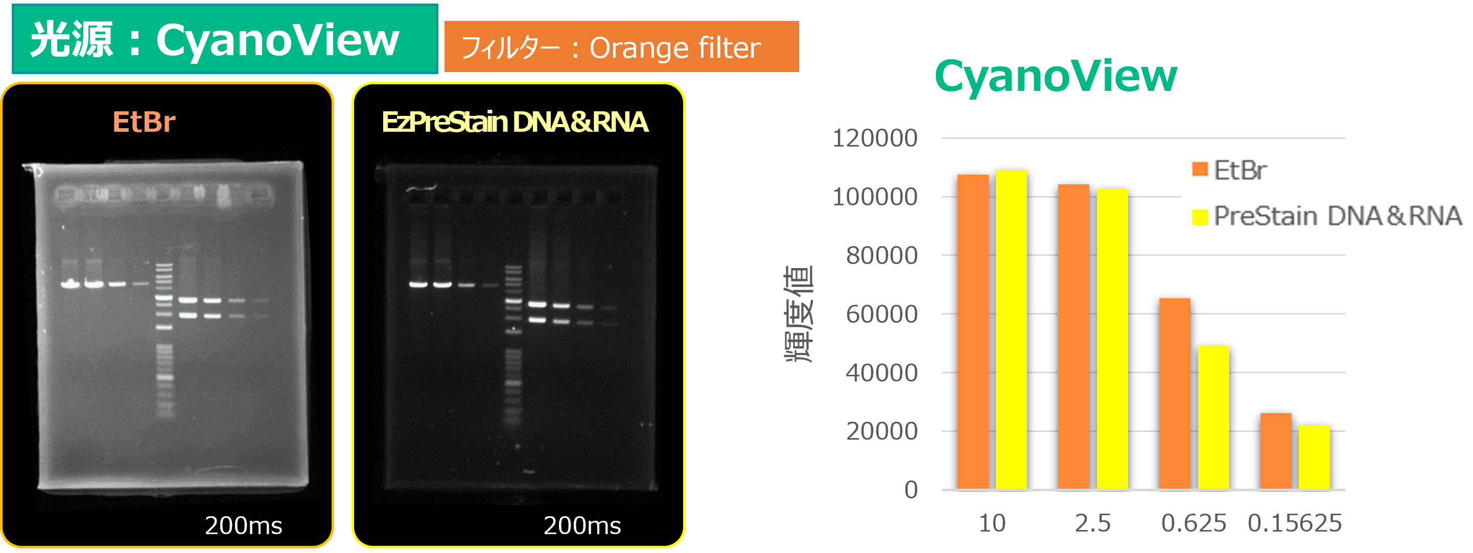 Printgraph Classic DNA Cyan EtBr vs Pre.png