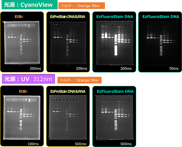 Printgraph Classic DNA Cyan Pre vs FL _600