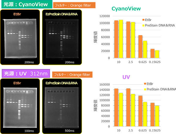 Printgraph Classic DNA Cyan_UV EtBr vs Pre _600 のコピー