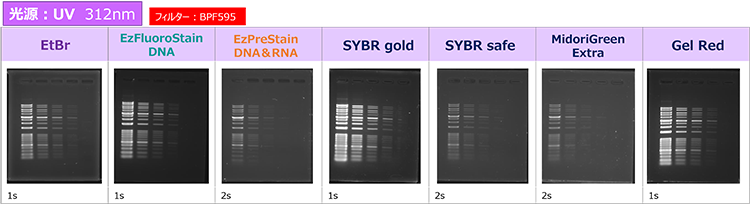 Printgraph CMOS DNA UV_750