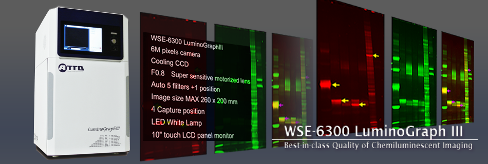 高感度発光撮影システム　LuminoGraphⅢ