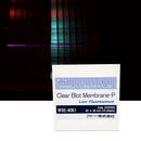 クリアブロット・P膜（低蛍光）（ClearBlot P membrane （Low fluorescence））