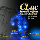 CLuc Reporter Assay Kit（CLucレポーターアッセイキット）